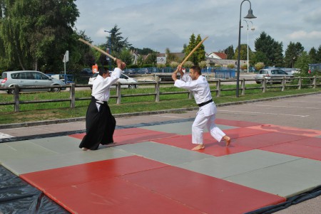 Fête du sport 2012 - THAON-LES-VOSGES