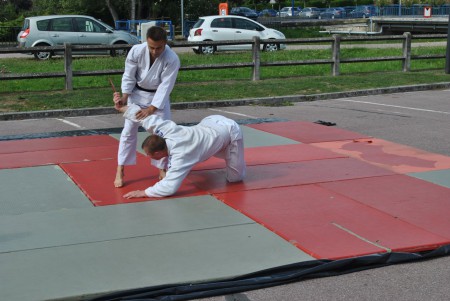 Fête du sport 2012 - THAON-LES-VOSGES